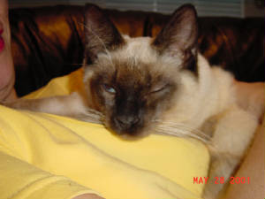 dsc00446.jpg