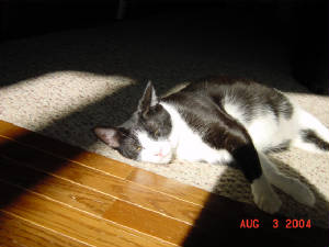 dsc02041.jpg